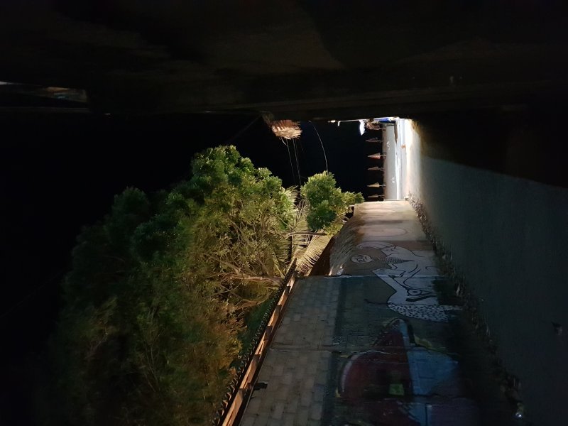 20250827_205354.jpg