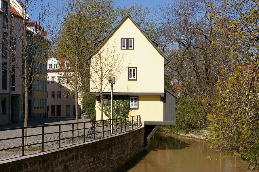 IMGP6746.JPG