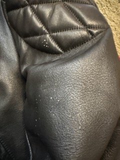 IMG_3923 Small.jpeg