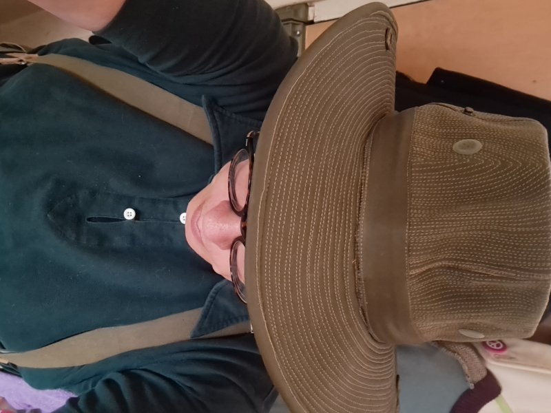1784820745131.jpeg