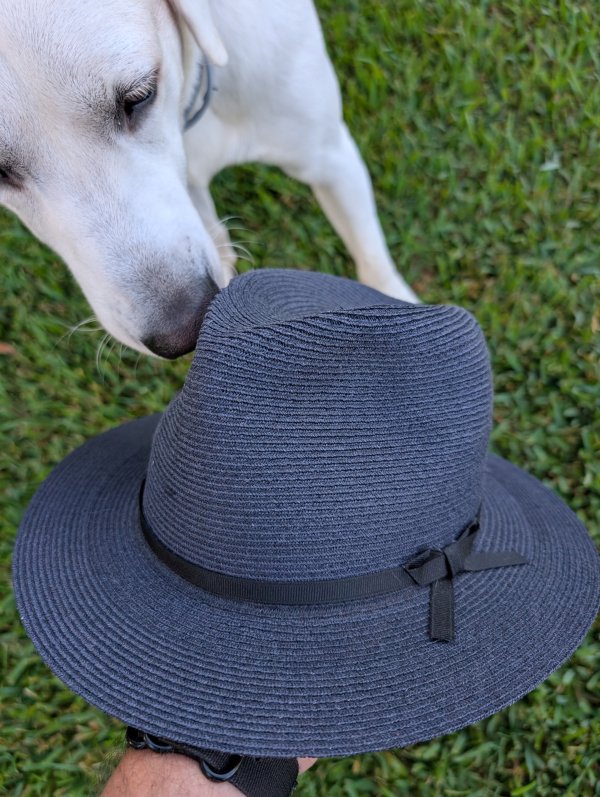 1000006815.jpg
