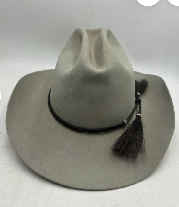 Resistol Gray 7 horse 2026-07-27 114701.jpg